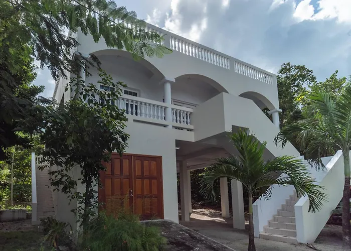 Casa Alegre- Heart Of Tres Cocos Area Across From Truck Stop By Floreo * San Pedro (Ambergris Caye)
