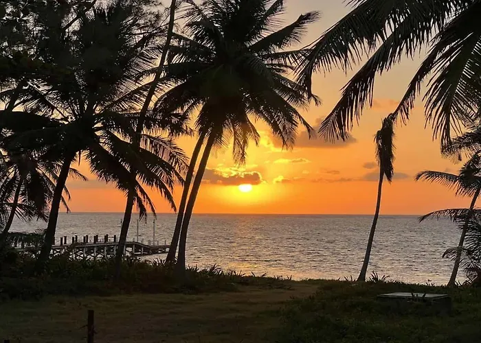Casa Alegre- Heart Of Tres Cocos Area Across From Truck Stop By Floreo Holiday home *
