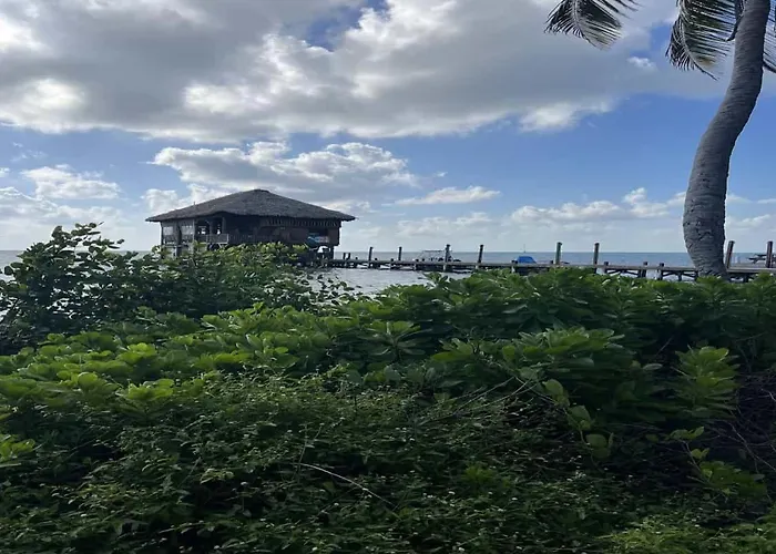 Casa Alegre- Heart Of Tres Cocos Area Across From Truck Stop By Floreo Holiday home