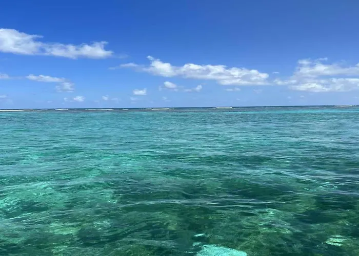 Casa Alegre- Heart Of Tres Cocos Area Across From Truck Stop By Floreo * San Pedro (Ambergris Caye)