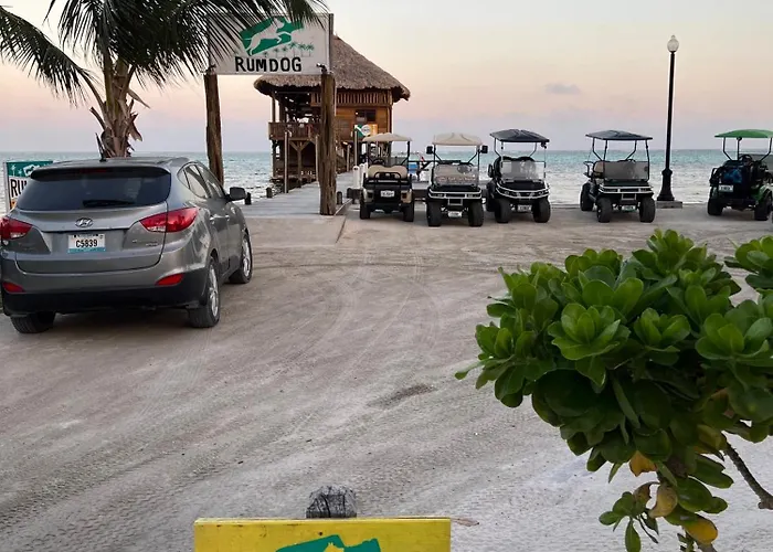 Casa Alegre- Heart Of Tres Cocos Area Across From Truck Stop By Floreo * San Pedro (Ambergris Caye)